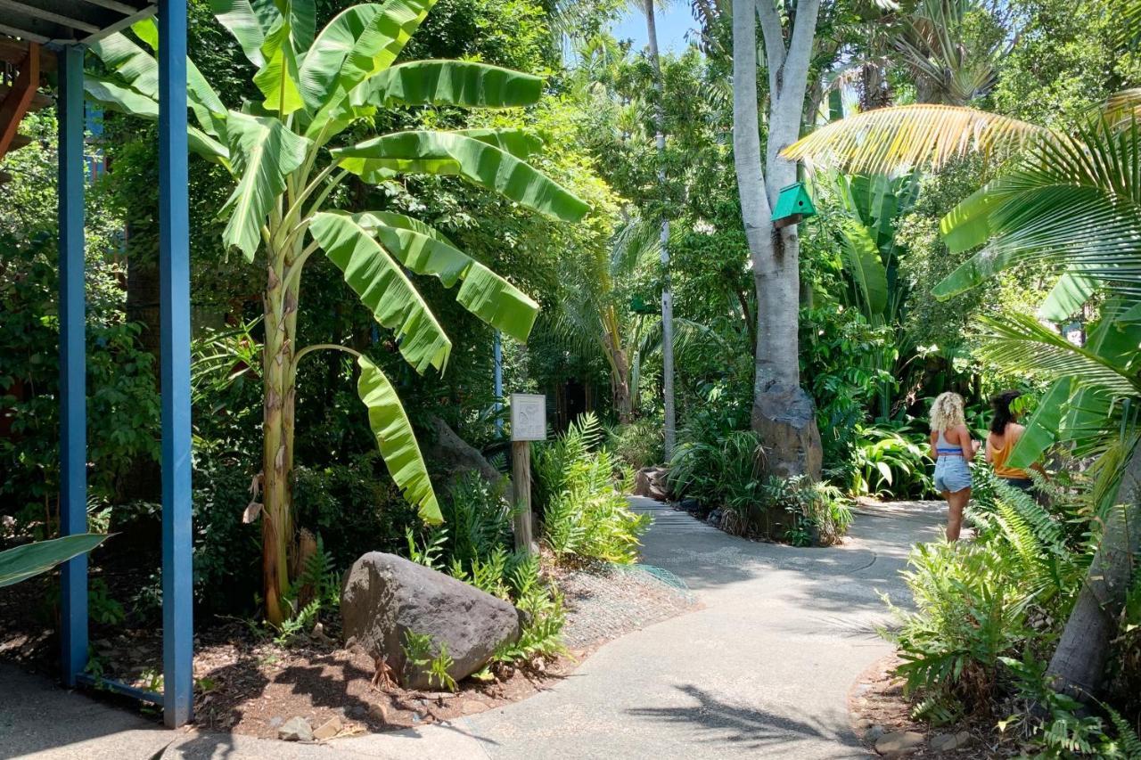 Airlie Beach Magnums - Adults Only エクステリア 写真